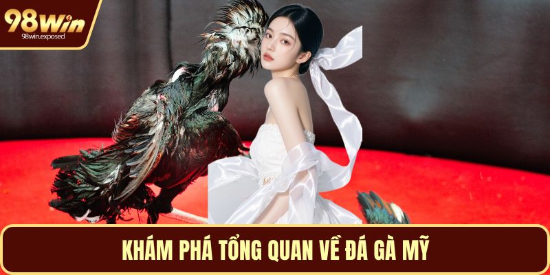 Khám phá tổng quan về đá gà Mỹ